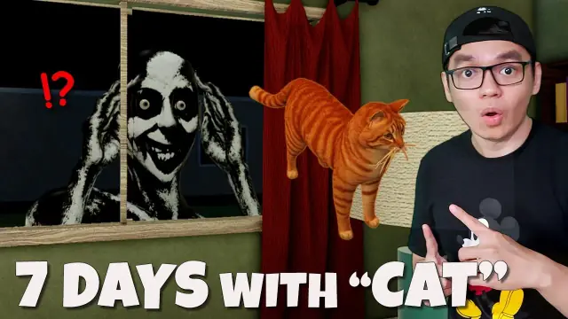 7 Days Cat Sitting Blackhole Badge and Ending Guide